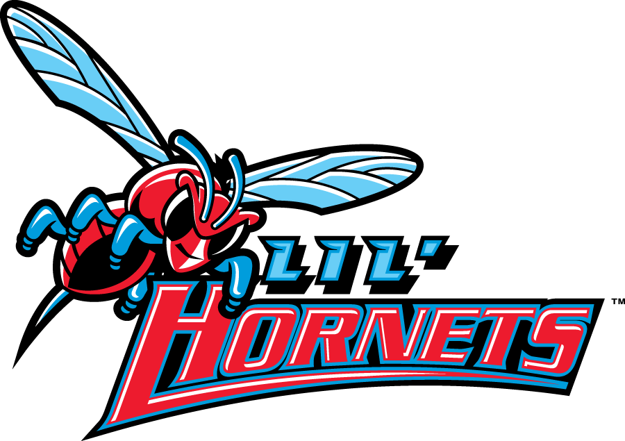 Delaware State Hornets 2004-Pres Misc Logo DIY iron on transfer (heat transfer)